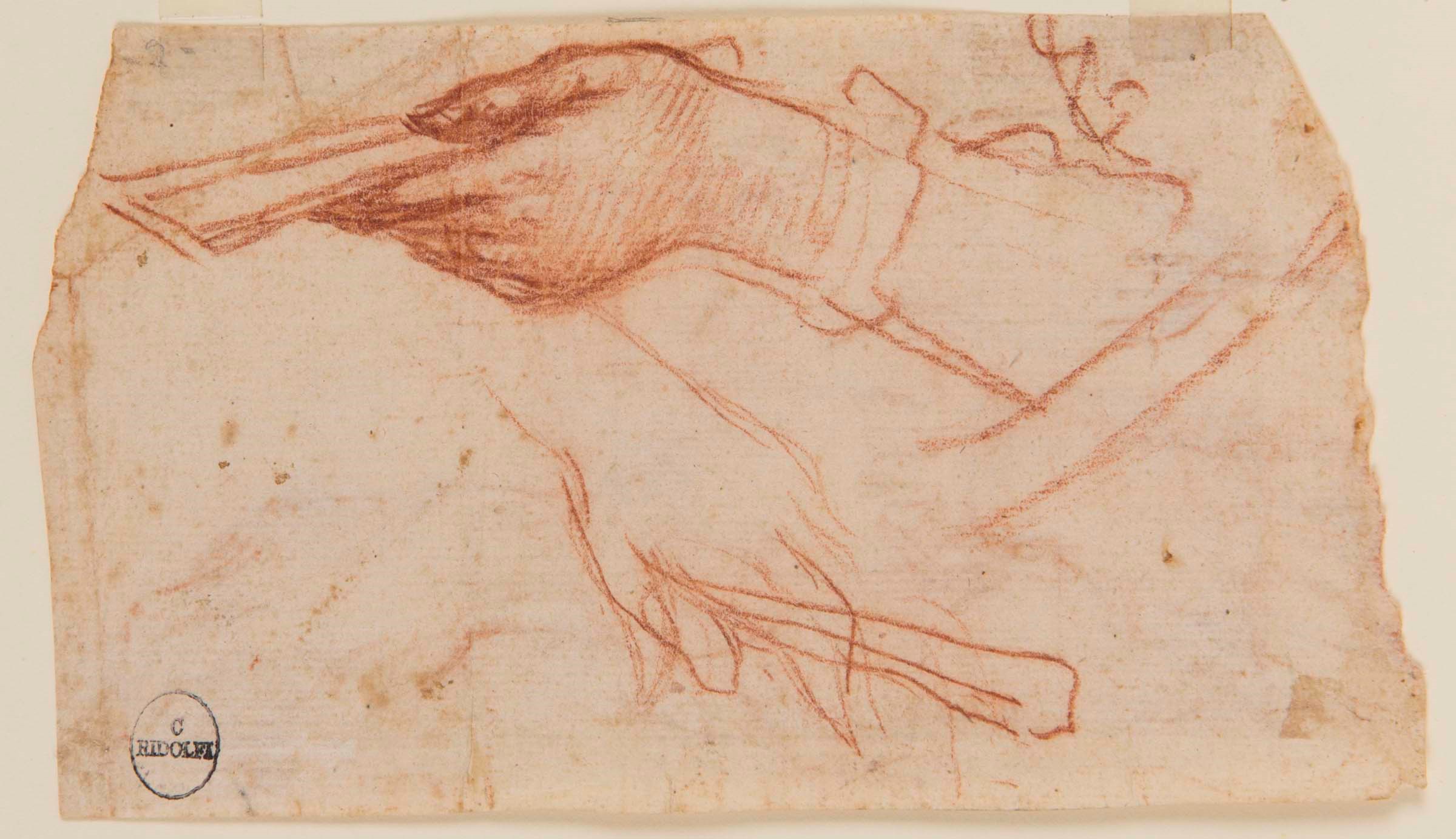 Scuola fiorentina del XVII secolo, Studio di mani - recto-verso, sanguigna su carta, [...] - Image 2 of 2