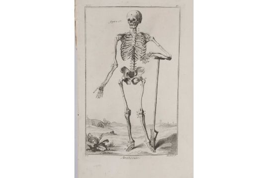 Diderot-d'Alembert, Raccolta di tavole dedicate alla anatomia del corpo umano. [...] - Bild 2 aus 2