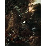 Otto Marseus van Schrieck (Nimega 1619 - Amsterdam 1678), attribuito a, Sottobosco - [...]