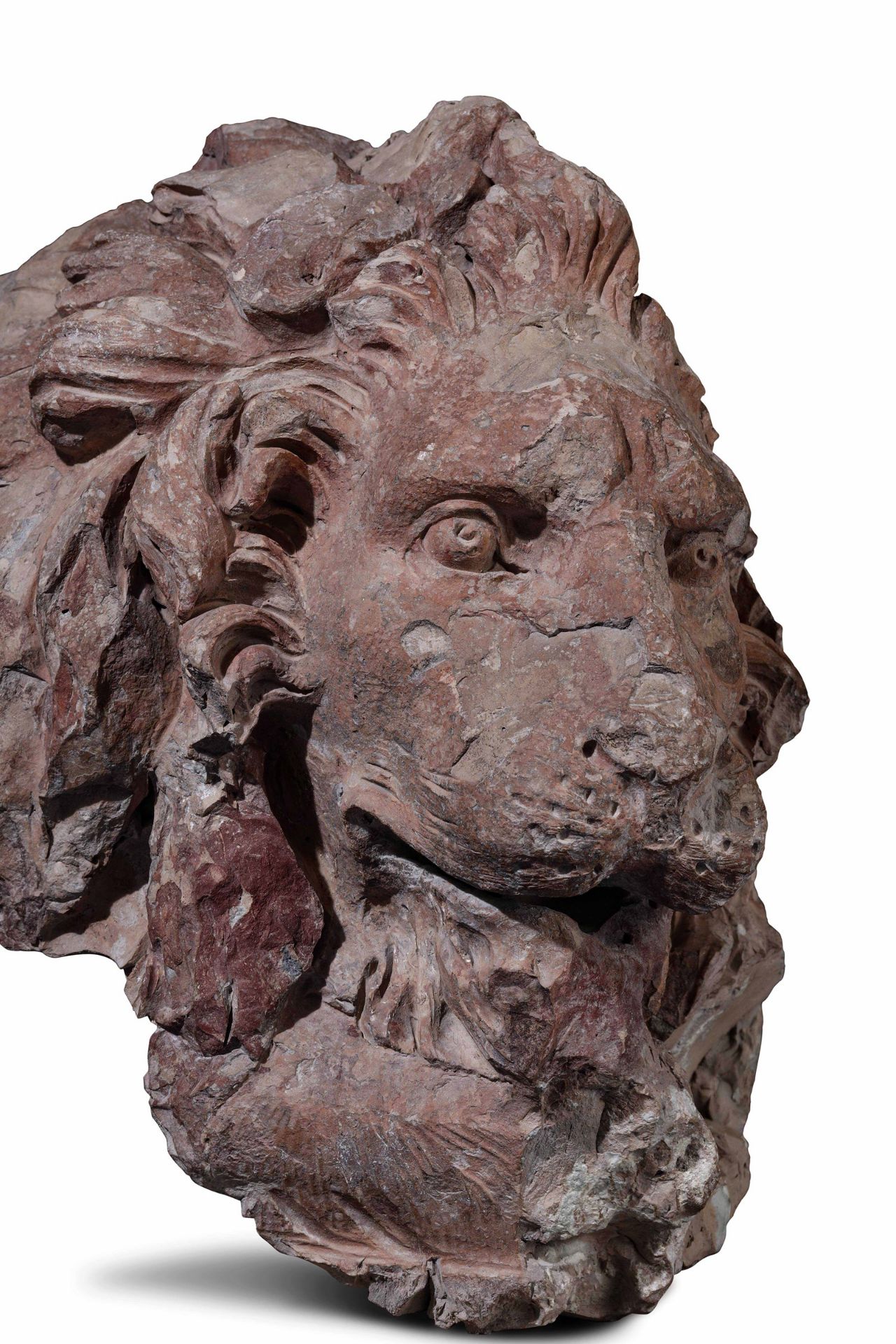 A terracotta lion head, GL Bernini's workshop, 1654-57 - cm 45x35x50. Opera esposta [...] - Image 2 of 9