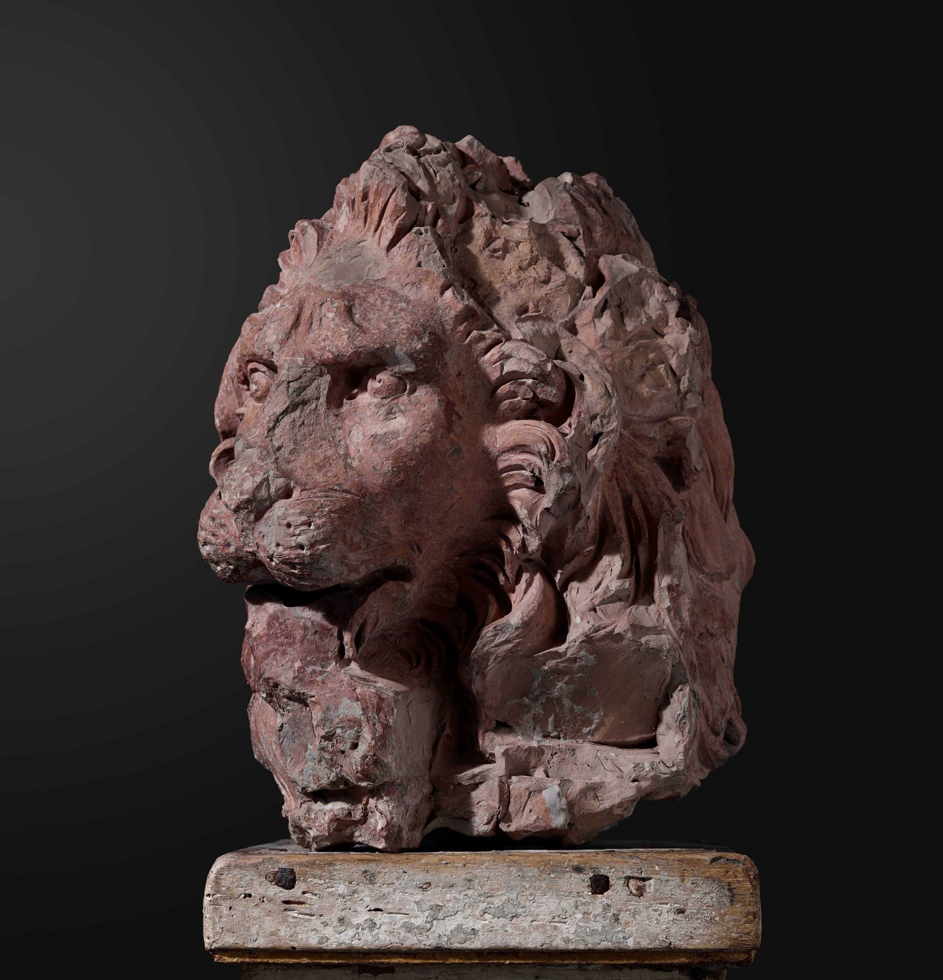 A terracotta lion head, GL Bernini's workshop, 1654-57 - cm 45x35x50. Opera esposta [...] - Image 5 of 9
