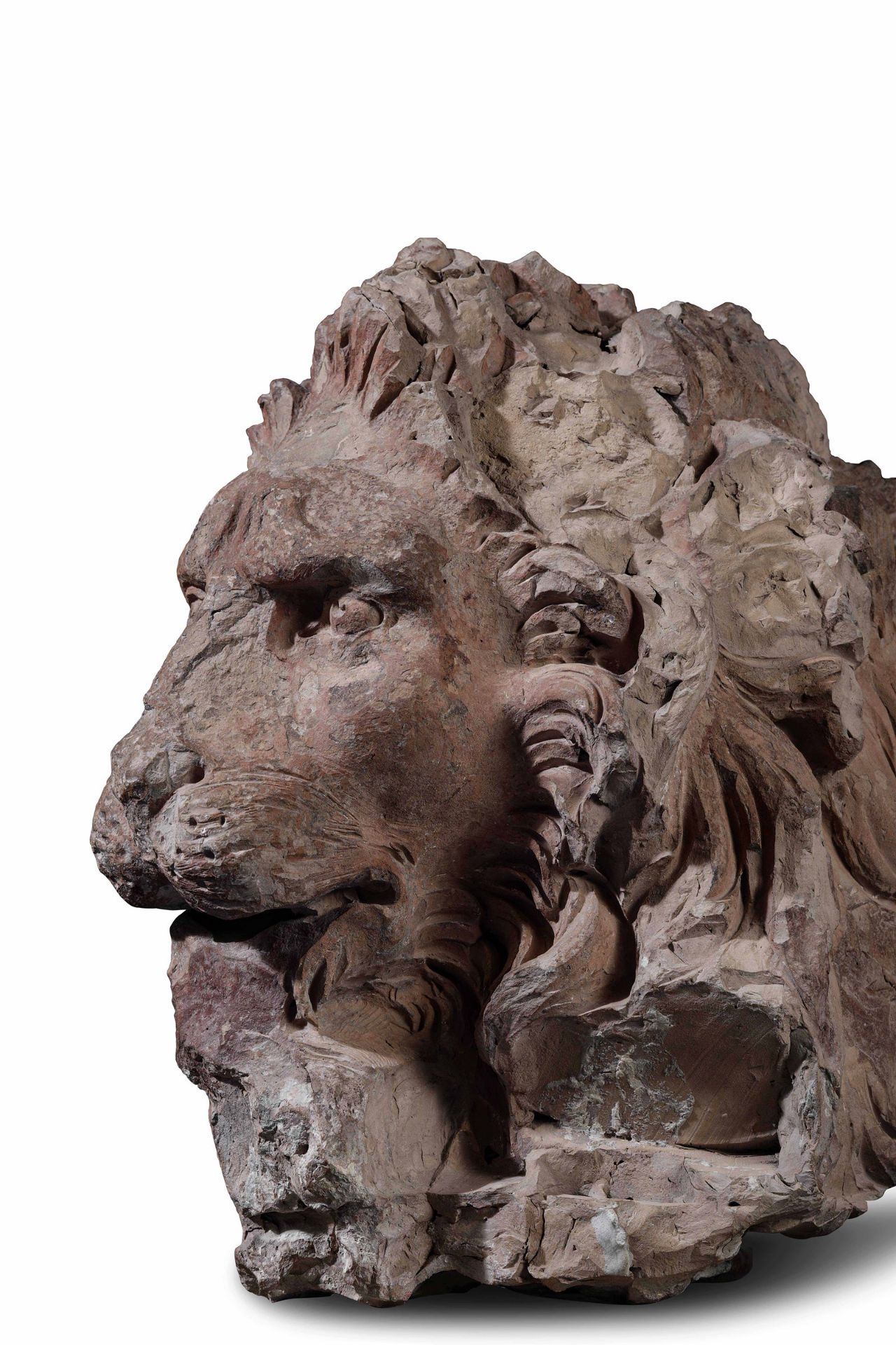 A terracotta lion head, GL Bernini's workshop, 1654-57 - cm 45x35x50. Opera esposta [...] - Image 4 of 9