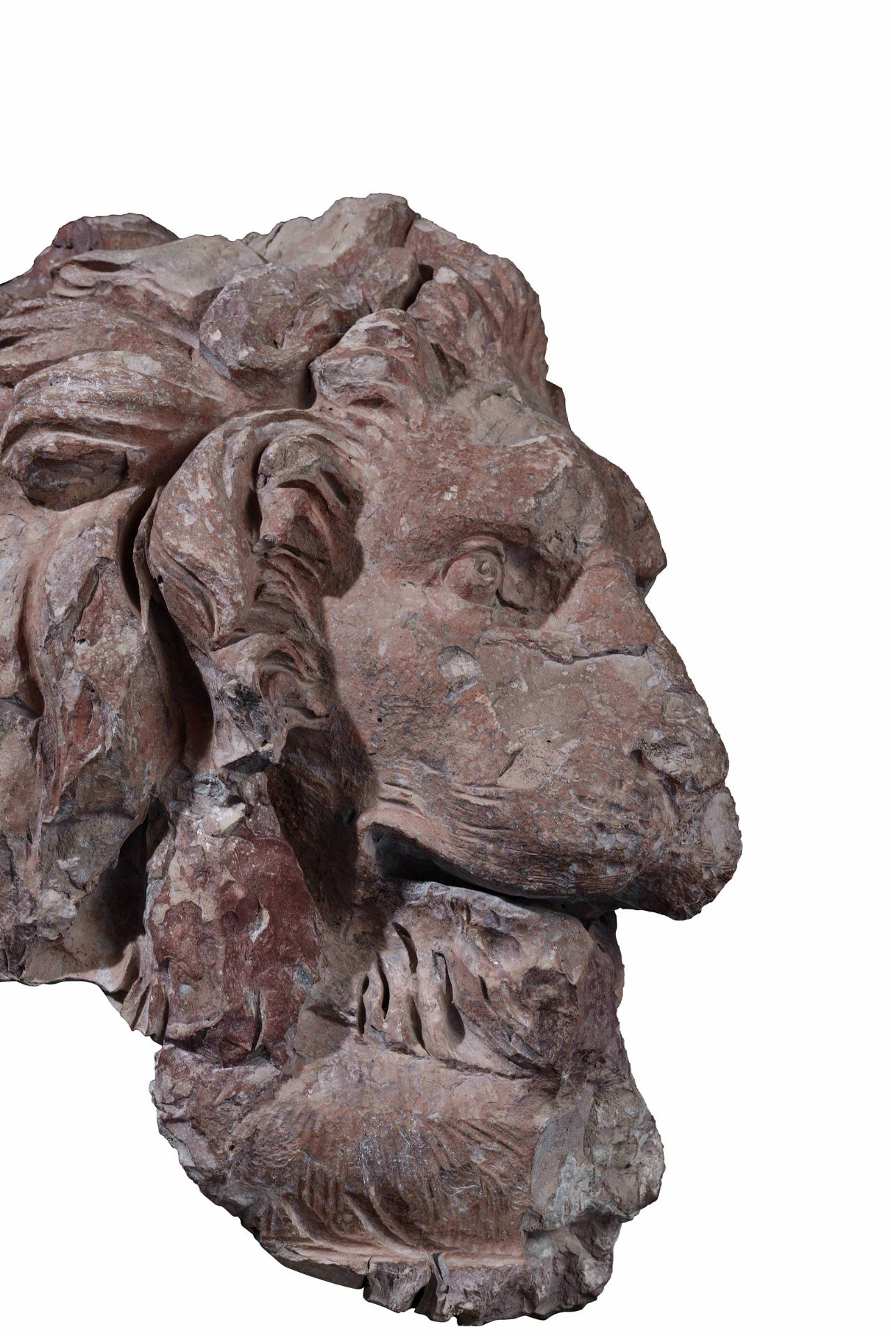 A terracotta lion head, GL Bernini's workshop, 1654-57 - cm 45x35x50. Opera esposta [...] - Image 9 of 9