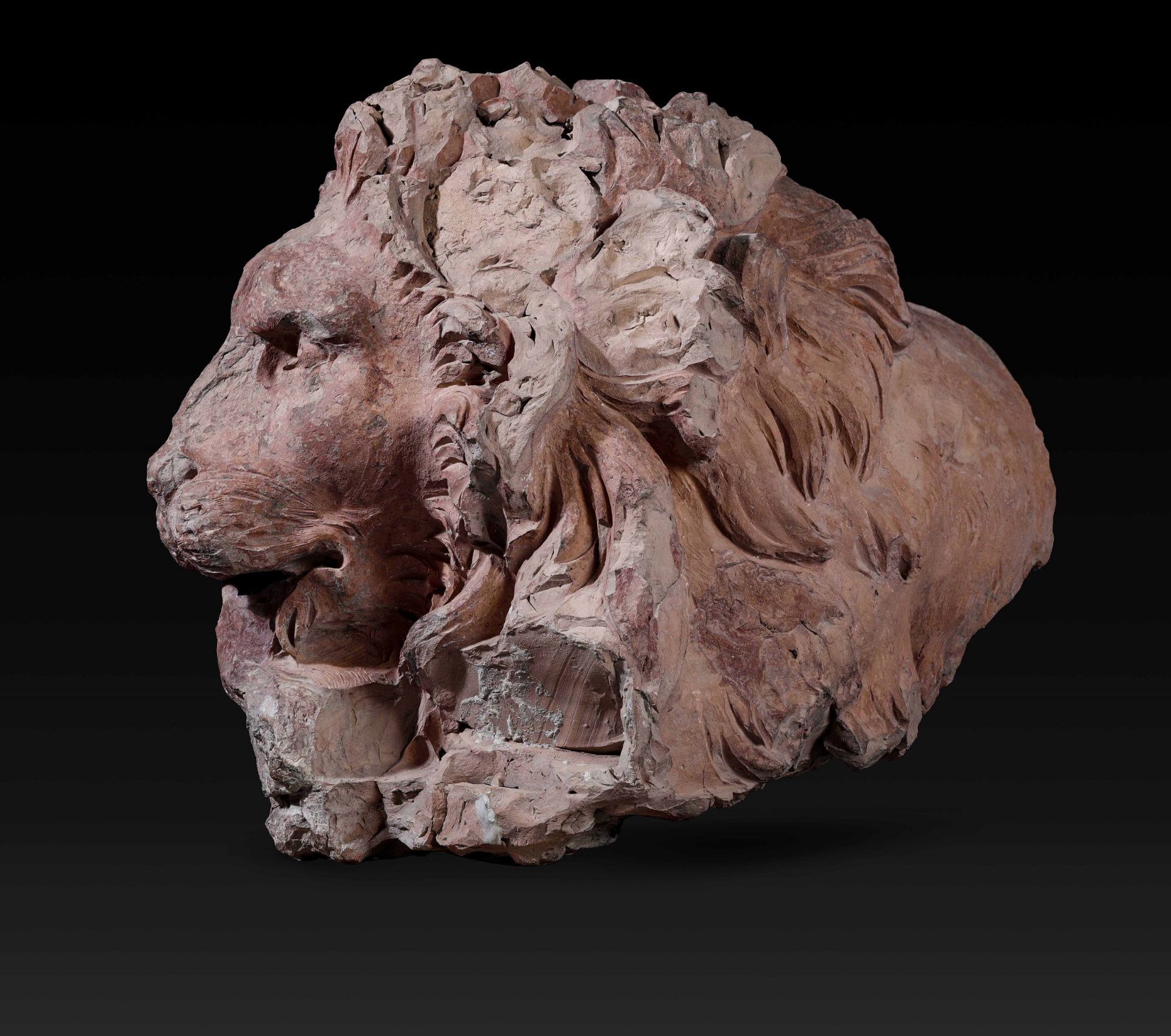 A terracotta lion head, GL Bernini's workshop, 1654-57 - cm 45x35x50. Opera esposta [...] - Image 3 of 9