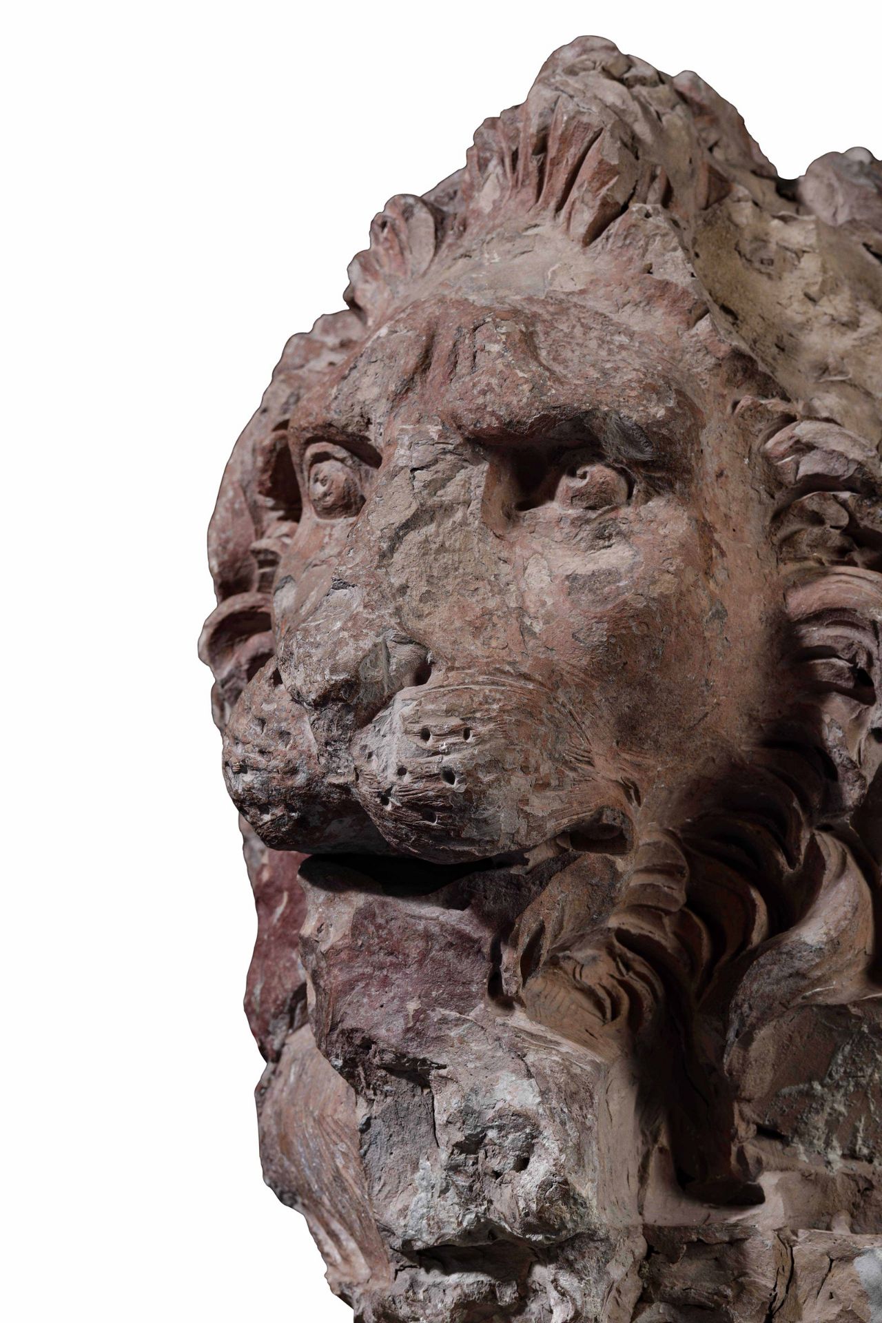 A terracotta lion head, GL Bernini's workshop, 1654-57 - cm 45x35x50. Opera esposta [...] - Image 6 of 9