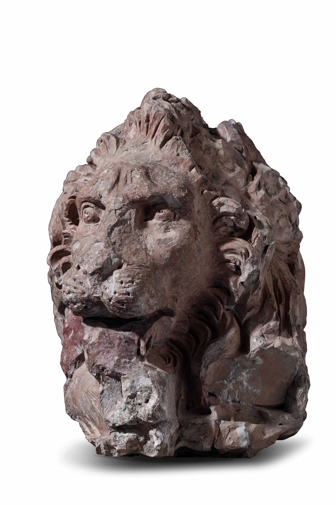 A terracotta lion head, GL Bernini's workshop, 1654-57 - cm 45x35x50. Opera esposta [...] - Image 8 of 9