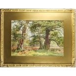 James Walsham Baldock (1825-1898) - Two watercolours - "No. 3 a Hollow Oak Sherwood Forest", and "