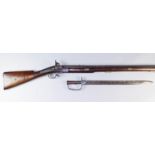 A Brunswick Musket, 18th Century, Nepalese Model, the 36ins bright steel barrel with V and bead