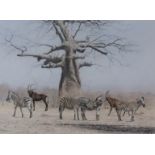***Kim Donaldson (born 1952) - Watercolour - "Zebra and Sable in Baobab Country", signed, 21ins x