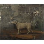 Samuel Woodhouse (fl. 1809-1851 - Irish) - Oil Painting - Study of standing Boxer dog in interior,