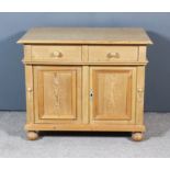 A 19th Century Eastern European Stripped Pine Low Cabinet, fitted two drawers and cupboards under