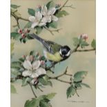 ***Basil Ede (1931-2016) - Watercolour - "Great Tit with Apple Blossom", signed, 10.75ins x 8.75ins,