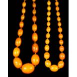 A Single Strand of Thirty-Seven Graduated Reconstituted Butterscotch Amber Beads, 740mm overall, and