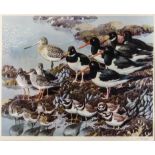***Charles Frederick Tunnicliffe (1901-1979) - Limited edition colour print - "At Low Tide" - Oyster