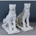 A Pair of Italian Reconstituted Marble Figures of Seated Panthers, circa 1930's, each 33ins high