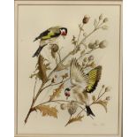 Gena Pont (20th Century) - Pair of watercolours - "Waxwings" and "Bullfinches", both signed in