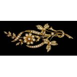 A Seed Pearl Brooch, Early 20th Century, in 15ct gold mount, of floral and leaf spray design, 63mm x