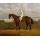 19th Century English School - Oil painting - Portrait of a bay horse with jockey up, set in a