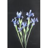 Judith Davies (20th Century English School) - Two coloured etchings - "Blue Iris" and "White