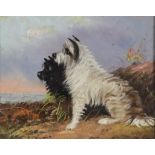 Style of George Armfield (1808-1893) - Oil painting - Two alert terriers, indistinctly signed, board