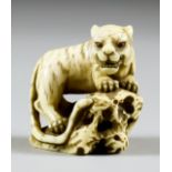 A Japanese Carved Ivory Netsuke of a Tiger by Masatomo, 19th Century (Edo Period), the snarling