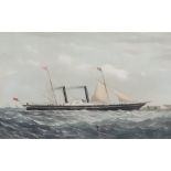 19th Century after J. Taylor - Coloured lithograph - Ship portrait - "S.S. Alliance" - Sail and