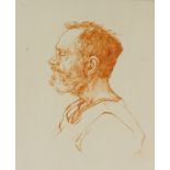 Nicholas Cochrane (20th/21st Century) - Sanguine drawing - "Julian" - Portrait in profile of head of