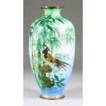 A Japanese Cloisonne Vase of Transparent Enamel, decorated with a pheasant on a rock amongst bamboo,
