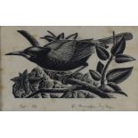 ***Ernest Mervyn Taylor (1906-1964) - Woodcut - Bird on a branch, signed in pencil and with