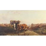 After Thomas Sidney Cooper (1803-1902) - Oil painting - Cattle watering in a rural landscape,