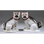 A Pair of Continental Porcelain Pug Dogs After Meissen Originals, 20th Century, one with a puppy,