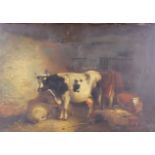 19th Century English School - Oil painting - Cattle and sheep in a byre, board 13.75ins x 19.