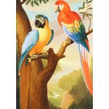 ***Nicholas Pace (born 1957) after Jacob Bogdani (circa 1650-1724) - Oil painting - "Macaws in a