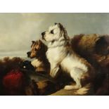 Style of George Armfield (1808-1893) - Oil painting - Two terriers on a bank, relined canvas 28ins x