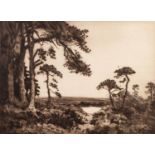 ANDREW WATSON TURNBULL (1874-?) ARTIST SIGNED ETCHING ?Early Morn?, view of a lake through