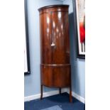 ANTIQUE MAHOGANY FLOOR STANDING BOW FRONTED CORNER CUPBOARD, the dentil moulded cornice above a pair