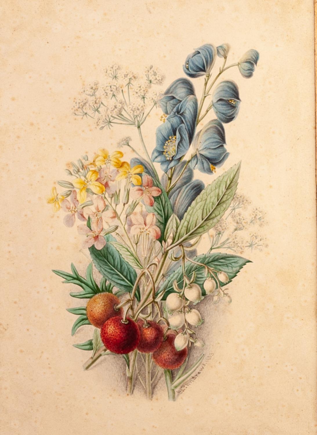 JAMES ANDREWS (NINETEENTH CENTURY) PAIR OF WATERCOLOUR DRAWINGS Floral studies Signed and dated 1853