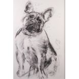 APRIL SHEPHERD (MODERN) BLACK PASTEL ?Frenchie III? Monogrammed, titled to label verso 30? x 19? (