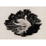 WILLIAM GELDART (b 1936) SCRAPERBOARD PRINT Swan signed lower right 7" x 9.5" ANOTHER EXAMPLE BY