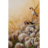 W GEOFF ROLLINSON (b1946) OIL ON BOARD Two Goldfinches Signed lower left 11 1/4" x 7 1/4"