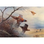 P. ALLIS ARTIST SIGNED LIMITED EDITION COLOUR PRINT of pheasants in flight 19" x 26 3/4" (48cm x