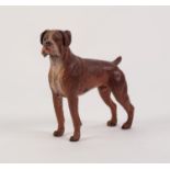 COLD PAINTED BRONZE MODEL OF A BOXER DOG, modelled standing, 5 ¼? (13.3cm) high, unmarked