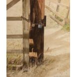 PETER WILLIAMS (TWENTIETH CENTURY) WATERCOLOUR DRAWING Fence post with padlock and chain, ?Summer