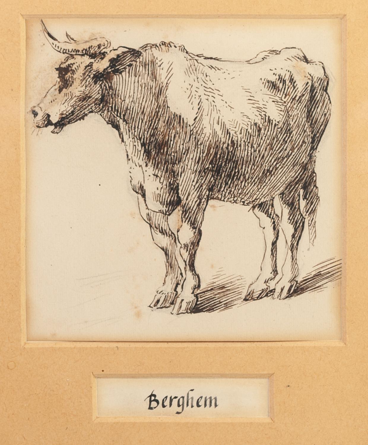 ATTRIBUTED TO NICOLAES BERCHEM (1620-1683) PEN AND INK DRAWING Bull Unsigned 5 ½? x 5 ¼? (14cm x