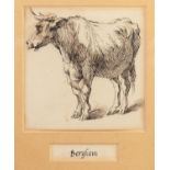 ATTRIBUTED TO NICOLAES BERCHEM (1620-1683) PEN AND INK DRAWING Bull Unsigned 5 ½? x 5 ¼? (14cm x