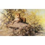 DAVID SHEPHERD (1931-2017) ARTIST SIGNED LIMITED EDITION COLOUR PRINT Leopard on a rock, ?The