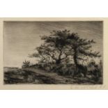 CATHERINE MAUD NICHOLS (1848-1923) ARTIST SIGNED ETCHING Trees Signed in pencil 4 ½? x 7? (11.4cm