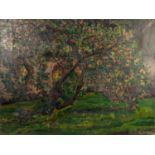 LENA PILLICO (1884-1947) OIL ON CANVAS Apple tree Signed 18? x 24? (45.7cm x 61cm), unframed