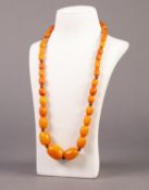 SINGLE STRAND NECKLACE OF BUTTERSCOTCH AMBER GRADUATED OVAL BEADS, with screw clasp, 25" (63.5cm)