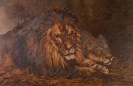 D. RAYNER (NINETEENTH/ TWENTIETH CENTURY) OIL PAINTING ON CANVAS Lion and lioness at rest Signed and